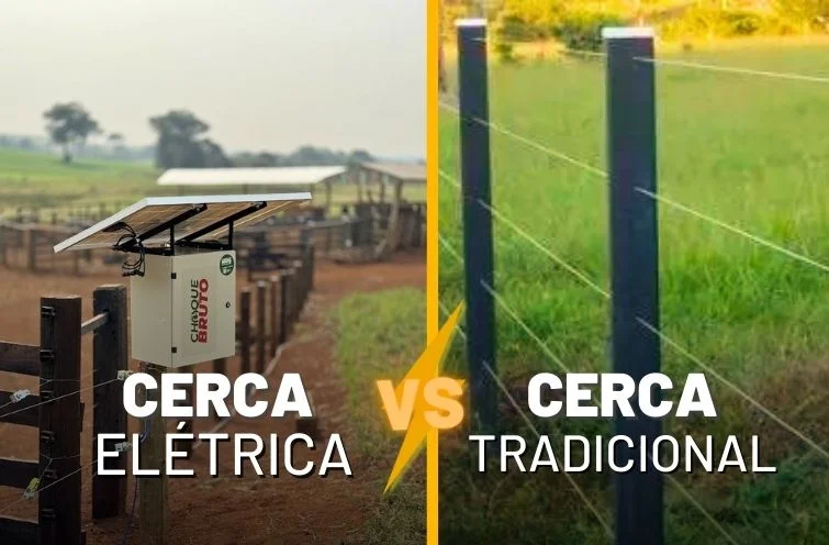 Fazenda com cerca elétrica e gado