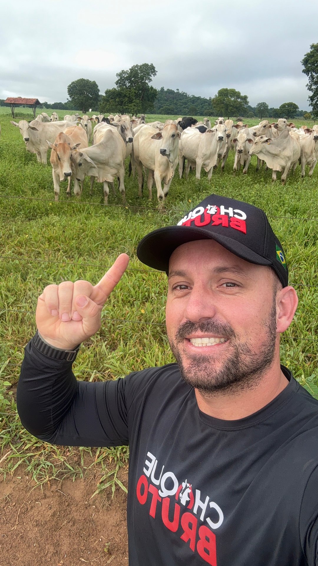 Rholyston no campo com gado