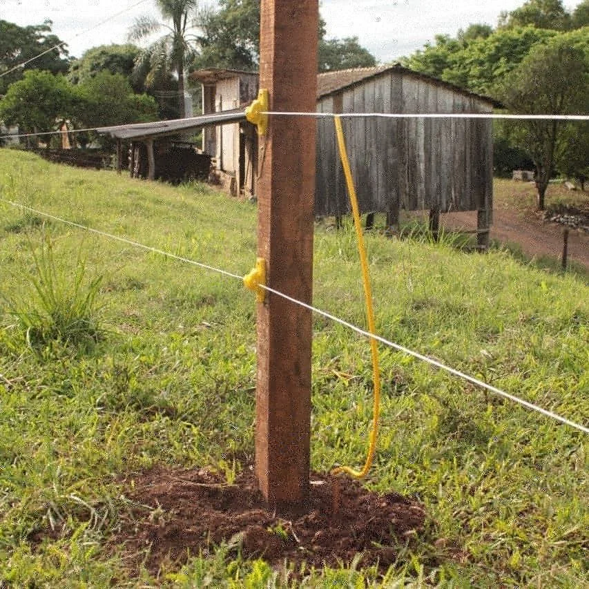 A Evolução da Cerca Elétrica no Brasil