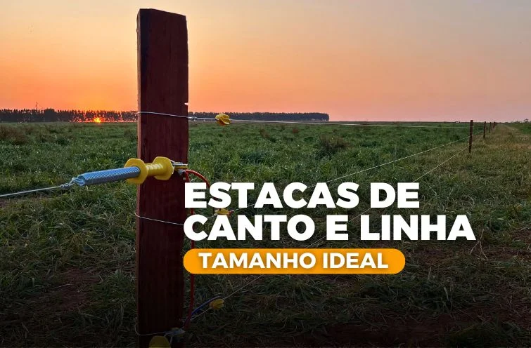 Tamanhos Ideais de Estacas para Cerca Elétrica Rural