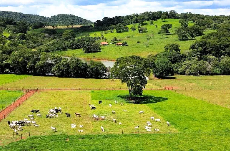 Como Otimizar o Uso de Aparelhos de Cerca Elétrica em Propriedades Rurais