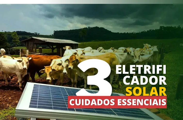 Eletrificador com Painel Solar – 3 Cuidados Essenciais