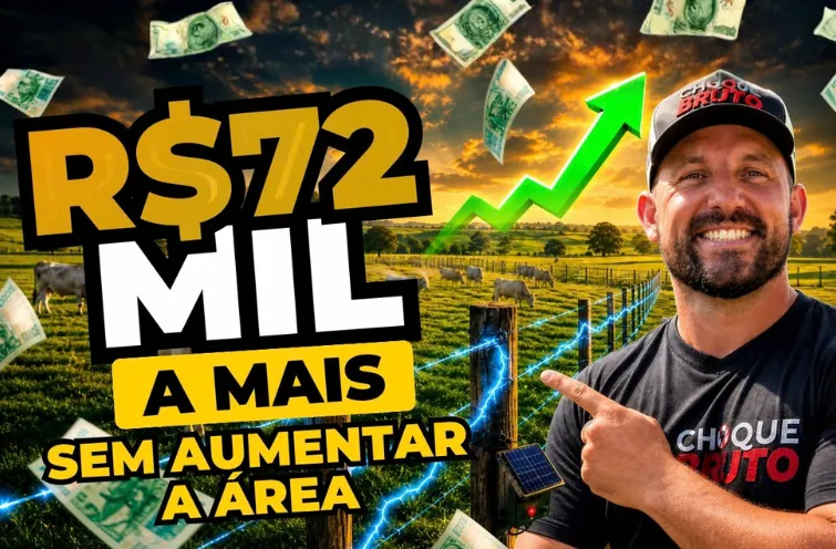 Cerca Elétrica Rural: Custo ou Investimento? 72 mil reais a mais sem aumentar 1 hectare